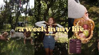 fall diaries week in my life | apple picking + getting out of bed screenshot 4