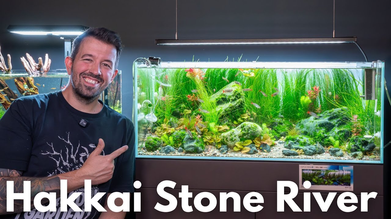 Hakkai Stone River - Liquid Garden 100P | Aquarium Vorstellung