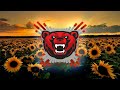 The Frajle feat. Zeljko Bebek - Zuta ruza (Cocaine Cole Dubstep Remix)