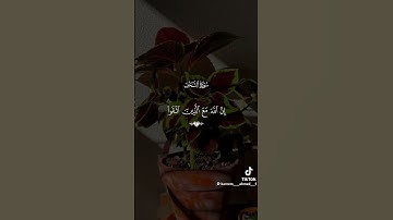 ايات مرتلة من سورة النحل #اكسبلور #القزابري #دويتو #العظماء #ترند #تيك_توك #حالات_واتس #المصحف #الرح