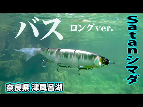 勝手に喋る蛇【サラマンダーの吐息】 勝手に喋る蛇