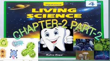 Teeth and Microbes ||Class-4|| Chapter-2 ||Part-2||