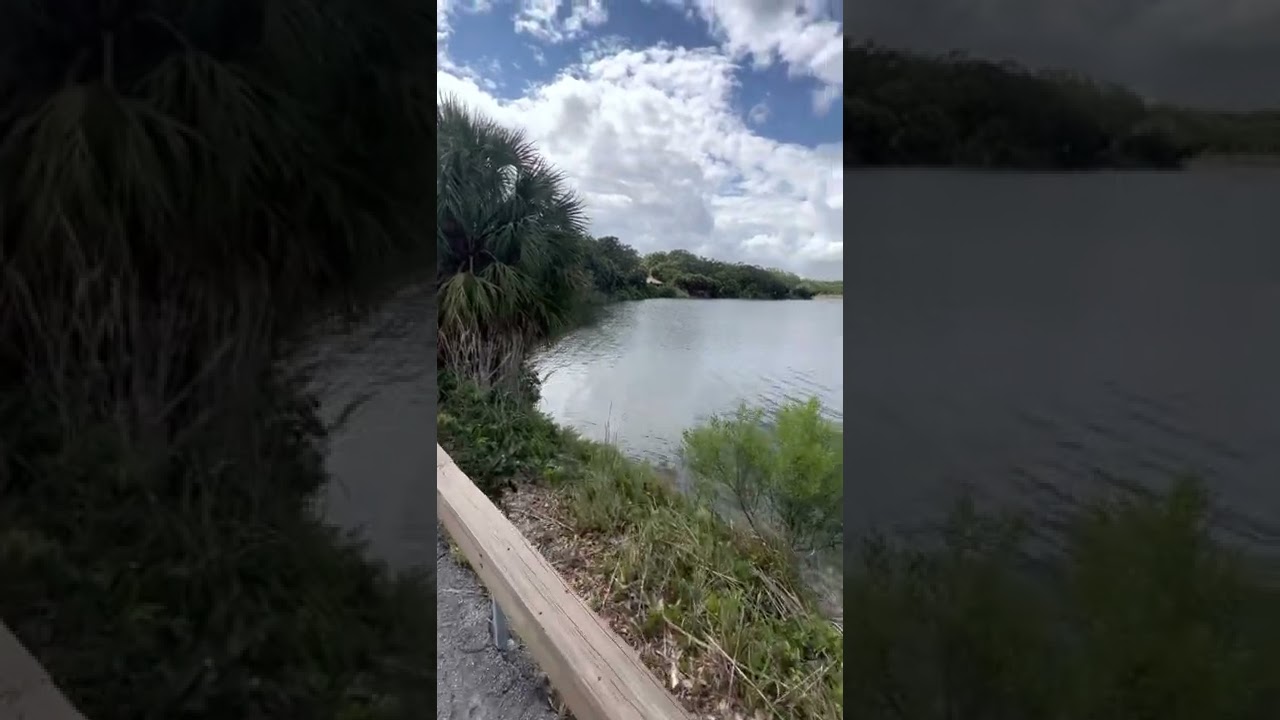 RV life walk through the park Hollywood Florida, TY park