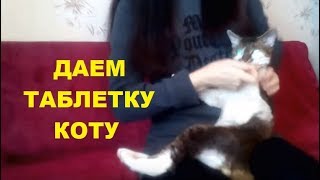 ✅ КАК ДАВАТЬ ТАБЛЕТКУ КОТУ? ✅ КАК ДАВАТЬ ТАБЛЕТКУ КОТУ?