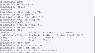Basics of Linux and Navigating the Linux filesystem