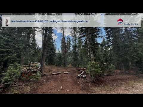 975 W Twisted Trail, Duck Creek Village, UT home video tour