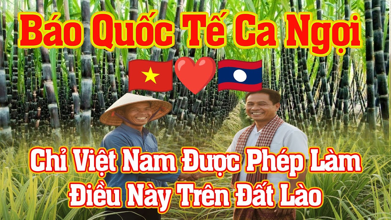 Chấn động đất Lào: Nông dân Việt sang trồng mía mà khiến báo chí quốc tế phải cúi đầu nể phục!