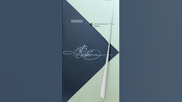 Sign your name ✨💫 #howtosign #signature #eagle #shorts