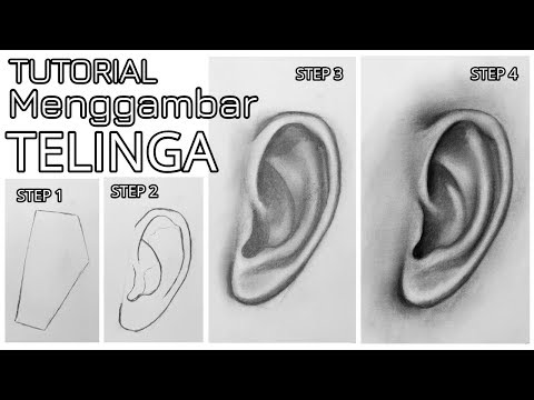 Video: Cara Membuat Telinga