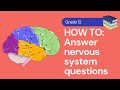 Biology Class Quiz on Nervous System and Hearing