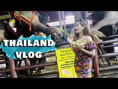 Calling in the New Year Thailand Style | Bangkok Thailand Vlog