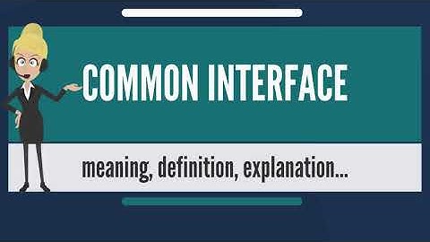 What is COMMON INTERFACE? COMMON INTERFACE meaning & explanation