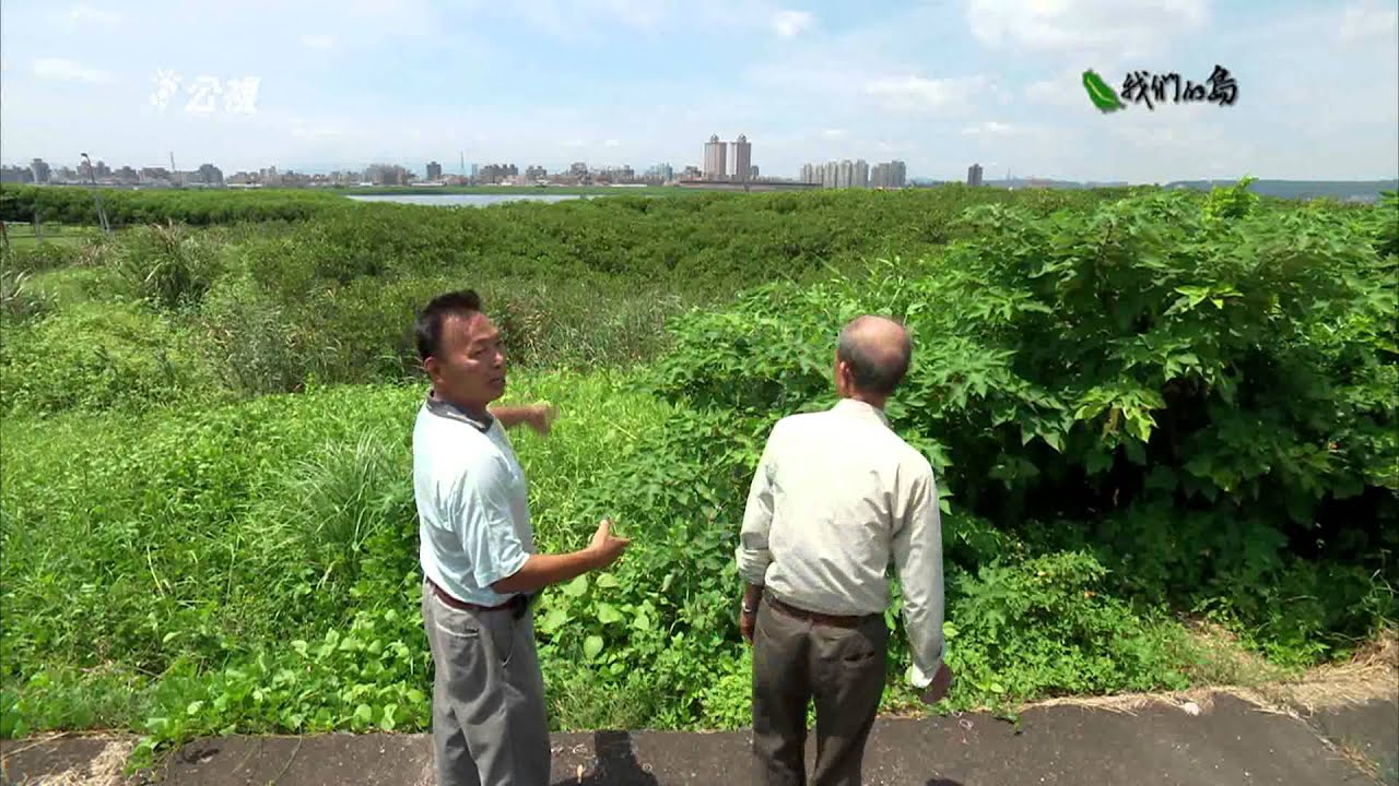 【城市開發】雙河之島｜台北社子島的未來 (我們的島 第813集 2015-06-22)