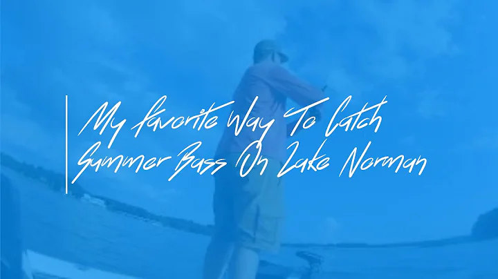 My Favorite Way To Catch Summer Bass On Lake Norman (Surprising Results): Part 1 #lakenorman