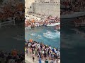 Is there anything wilder than the Wild League in Dubrovnik? #waterpolo #pallanuoto