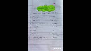 Vegetables name