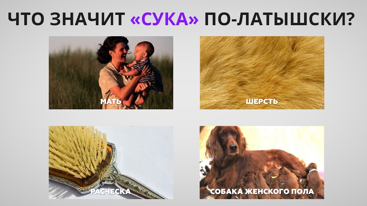 Чем полезна работа Оператором Что происходит Дзен