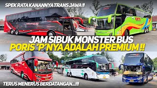 PREMIUM BUS RUSH HOUR AT PORIS TERMINAL‼️THE RIGHT SPEC OF TRANS JAVA BUSES‼️