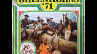 Greenhorns - '71 - 01- Blues Folsomske Veznice chords