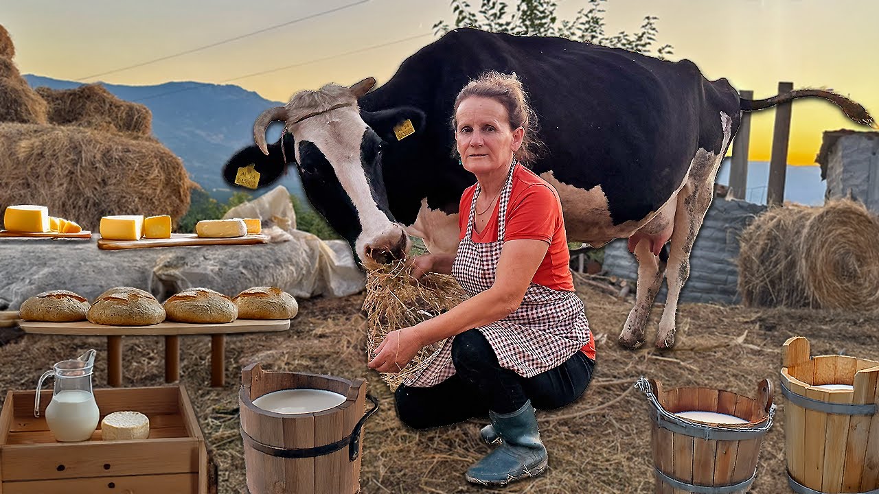 Making Cheese & Homemade Bread the Albanian Way 🍞🇦🇱 Milking Our Cow 🐄🥛