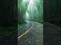 حالات واتس عمر بن عبدالعزيز الشيخ خالد الراشد 