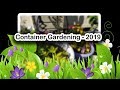 🌼 Container Gardening - 2019 🌼
