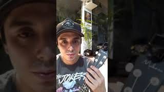 Ukulele Makanu Primeiras Impressões -Vale Apena ?