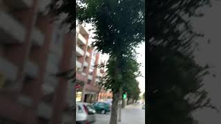 09.06.2019 Birds in Nelas, Portugal