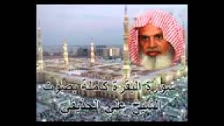 سورة البقرة كاملة بصوت علي الحذيفي Sura Al Baqarah