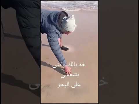 خذ بالك من هذا الكائن وانت بتتمشى على البحر       