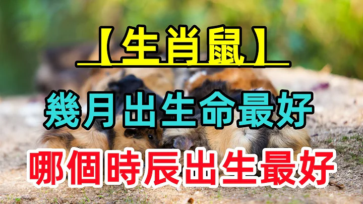 【生肖鼠】屬鼠幾月出生最好？哪個時辰出生最好？天生上等命，命中有大富貴！ - 天天要聞