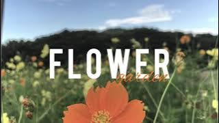 TAMAN BUNGA | VIDEO CINEMATIC