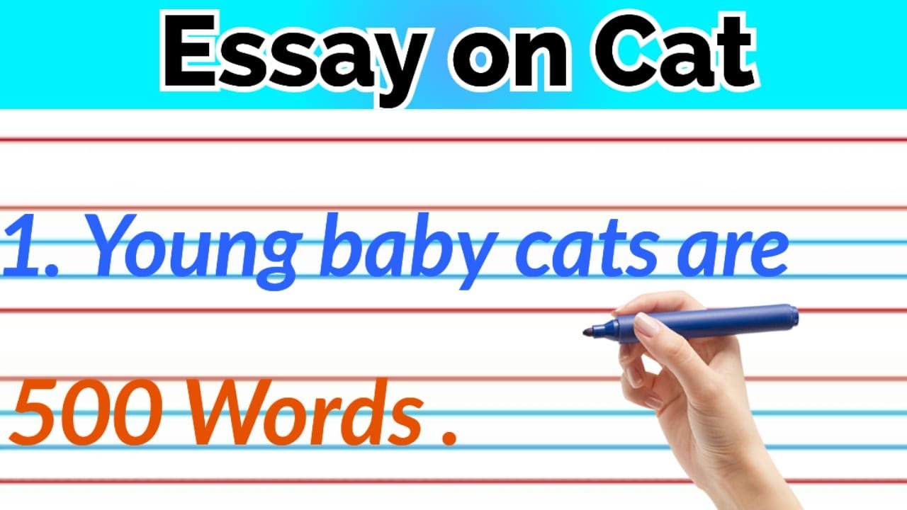 essay on cat 50 words