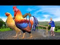 विशाल चिकन खेती Giant Chicken Farming हिंदी कहानियां Comedy Video हिंदी कहानिय Hindi Kahaniya Video