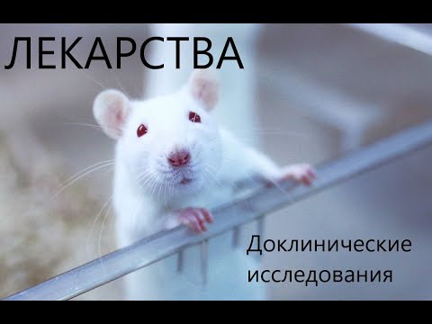 Лекарства. Доклинические исследования