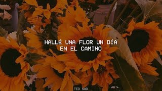 Marc Anthony - Flor Pálida [Letra/Lyrics]