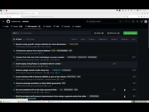 How to write the perfect Github issue for the Matomo team?