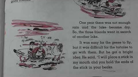 English Grammar Class 3rd | Chapter 28 | The Foolish Tortoise