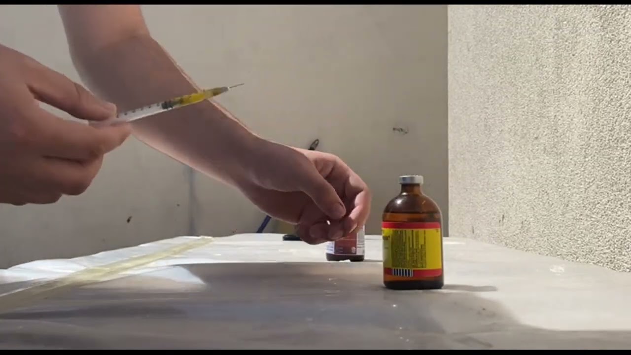 Güvercine İğne Nasıl Yapılır? Hastalığa Son! PAN TERRAMYCIN