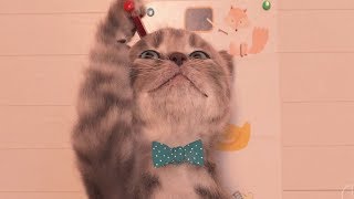 Little Kitten Preschool Adventure Kids Game - Play Pet Animal Care In School - Kids Learning Games screenshot 3