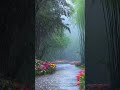 Rain and Wind – Nature’s Melody for Peaceful Relaxation #shortvideo