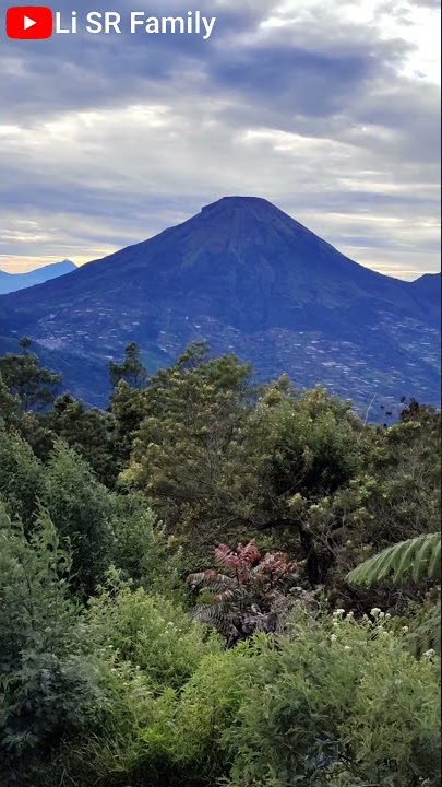 bukit sikunir Dieng, pesona alamnya begitu indah #shorts
