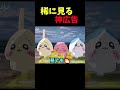 神広告です。スキップしないで下さい。 #ちいかわ #中国