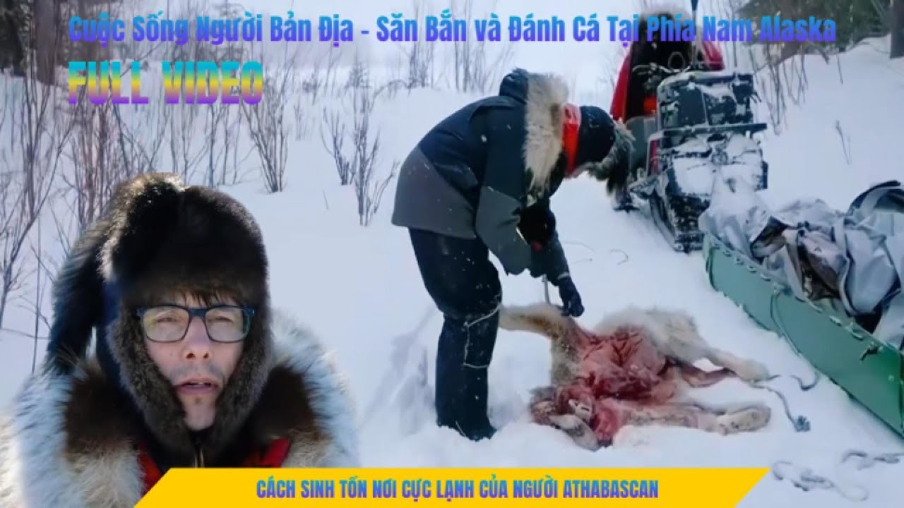 [Full Video] Cuộc Sống Người Bản Địa Athabascan - Săn Bắn và Đánh Cá Tại  Alaska || Gấu Ca Review