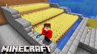 como fazer uma plantação automática #minecraft #mundo #jogo #fy