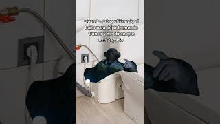 No Lo Deseso Eso A Nadie Jajajajja