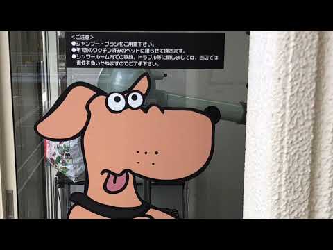 マーケットピア ジョイフル本田ペットワールド 八千代店