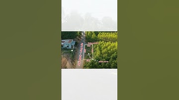 bán đất 403m2 đường Suối Nghệ - Láng Lớn, xã Bình Ba, huyện Châu Đức, tỉnh Bà Rịa - Vũng Tàu #bds