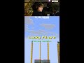 Minecraft Pillars of TORTURE on JAVA!