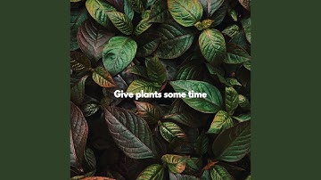 Playful Brave Keynotes